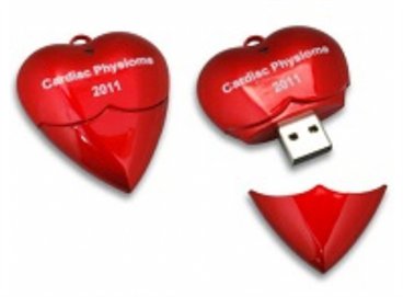 דיסק און קי,זיכרון נייד "לב" - ניתן לקבל בכל צבע