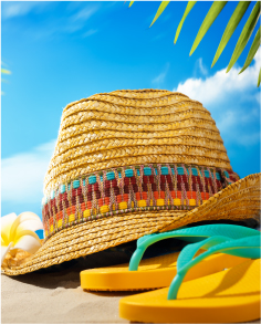 תמונה לקטגוריה