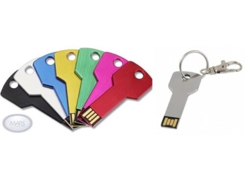 דיסק און קי ממותג-כולל הדפס לוגו